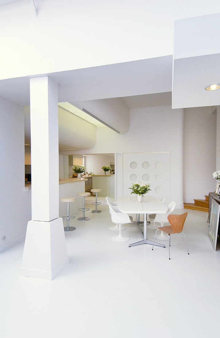 Designer furniture and open-plan kitchen in modern dining room