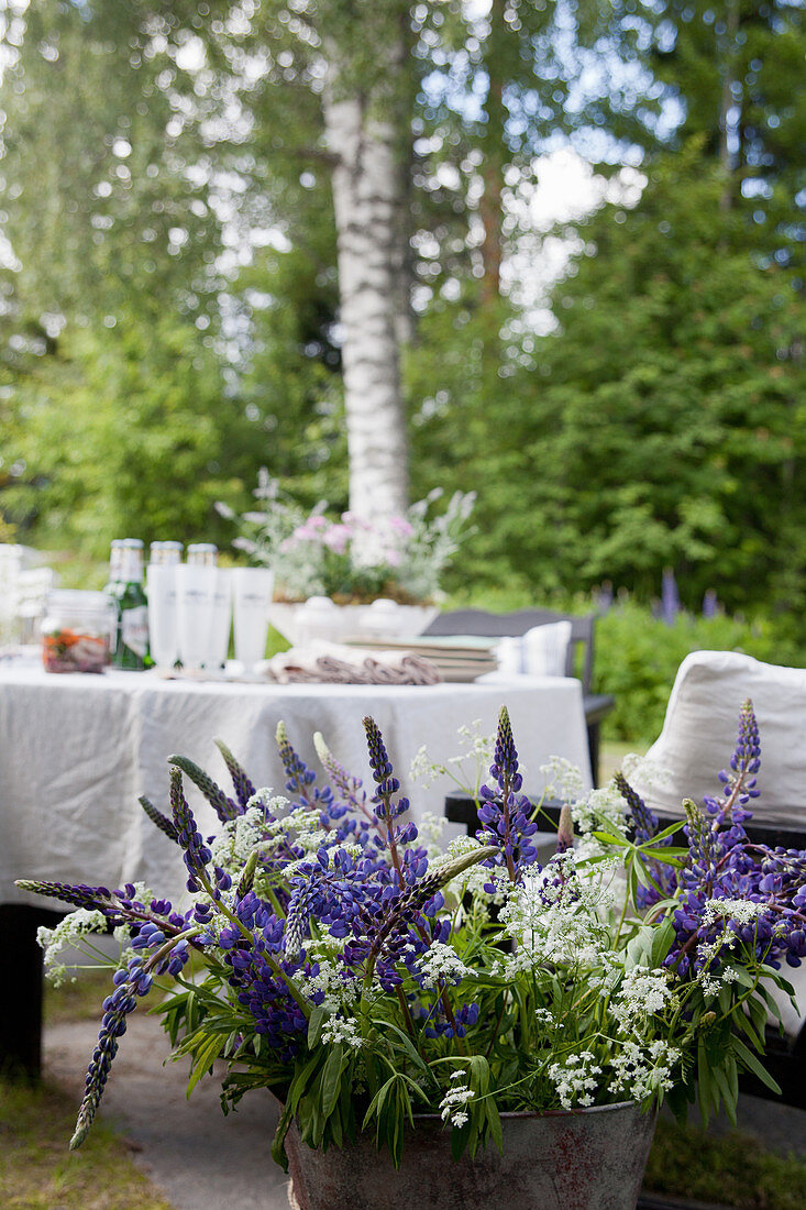 Strauß mit blauen Lupinen vor dem gedeckten Tisch im Garten
