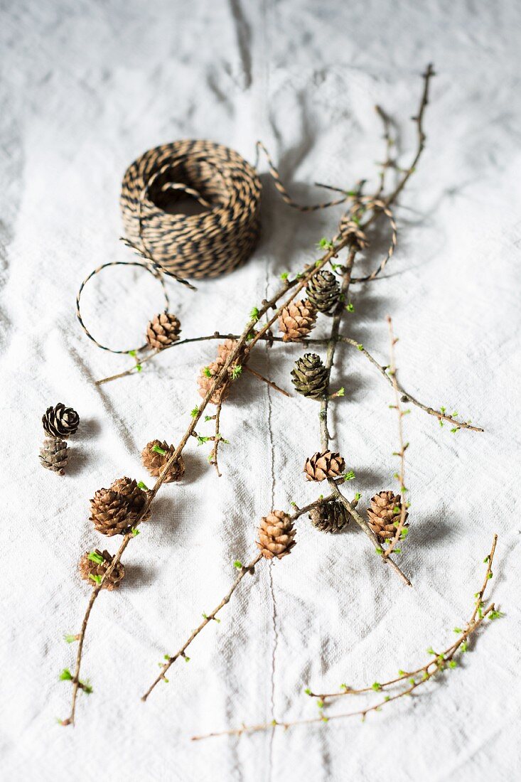 Larch twigs with cones and green shoots next to binding twine on linen cloth