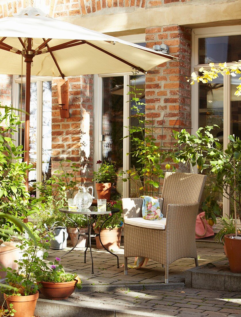 Gemütlicher Terrassenplatz mit verschiedenen Topfpflanzen und Sonnenschirm