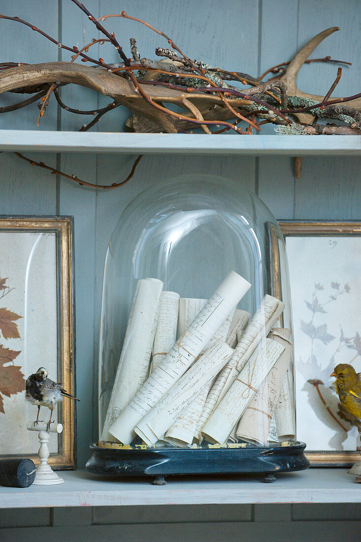 Alte Briefrollen unter der Glashaube und Sammlerstücke im Regal