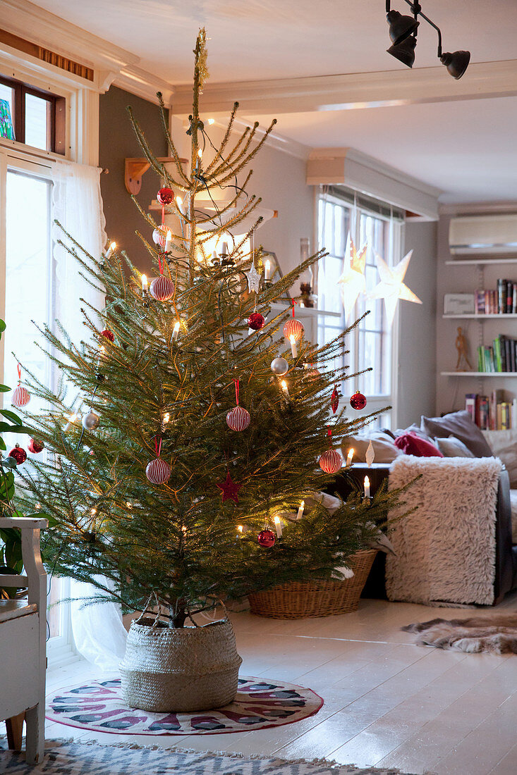 Simply decorated Christmas tree in cosy living room