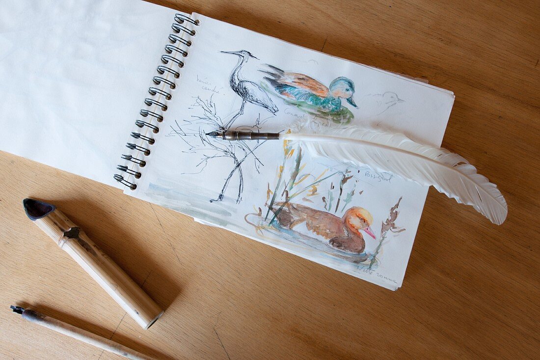 Schreibfeder auf einem Papierblock mit Vogelzeichnungen