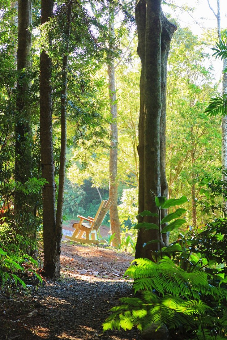 A lonely chair as a quiet seat in the sunny tropical forest