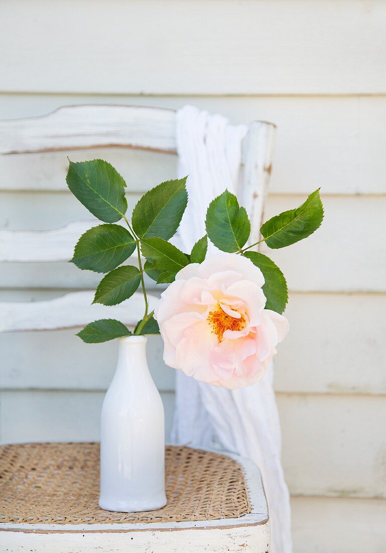 Vase mit einer aufgeblühten Rose auf altem Stuhl