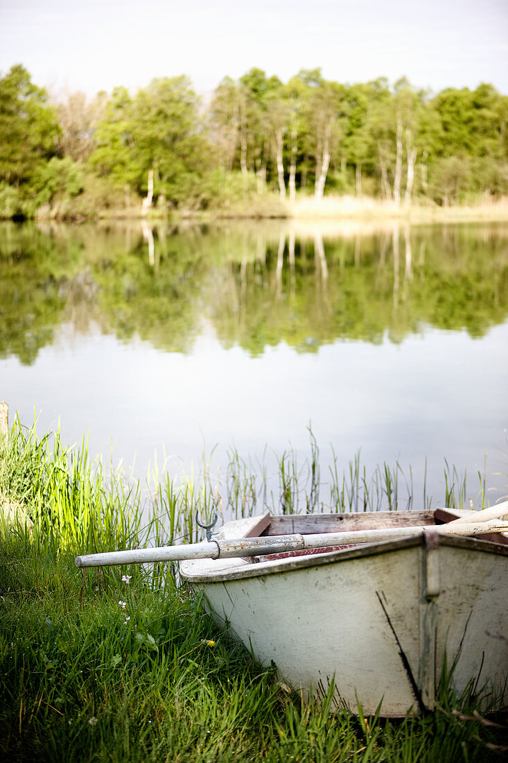 Rowing boat on shore of lake in summer