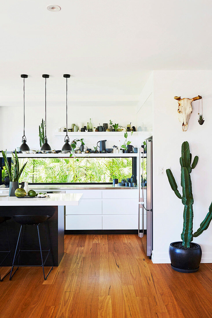 Kaktus vor der offenen Küche in Schwarz und Weiß