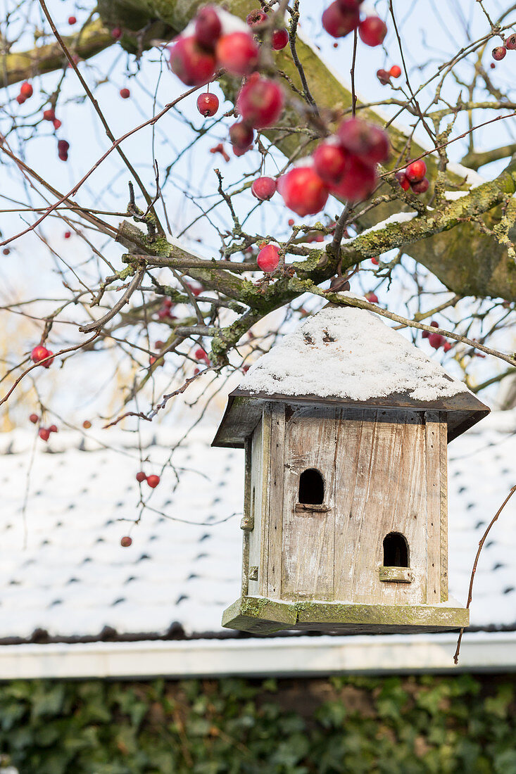 Bird nesting box with snow on roof hanging from tree amongst red crab apples