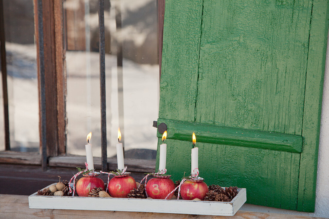 Advent arrangement of candles stuck in numbered apples