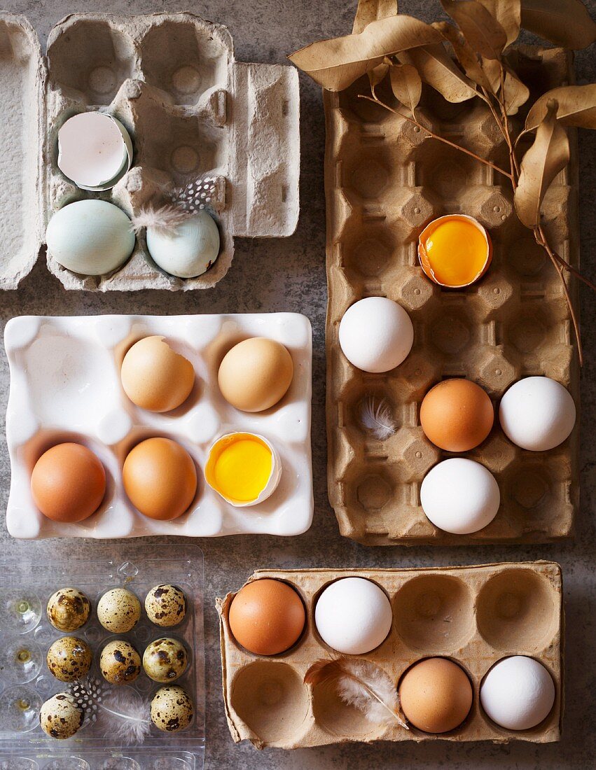 Verschiedene frische Eier in Eierkartons
