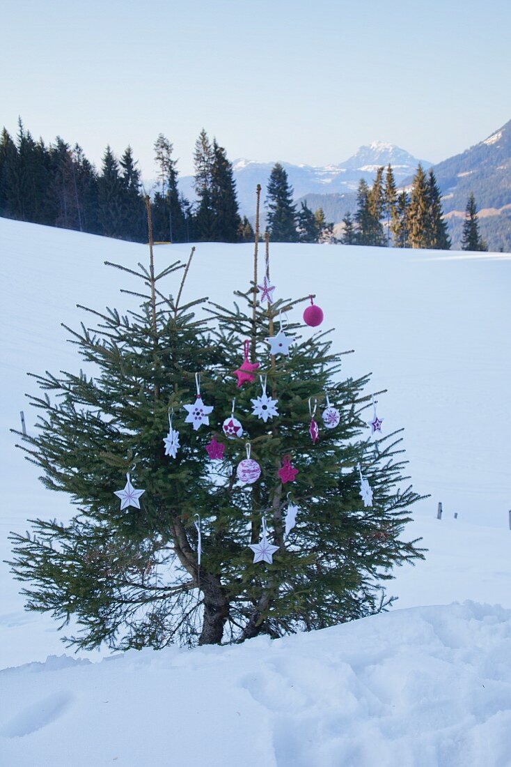 Fir tree decorated with hand-made Christmas decorations in snowy landscape