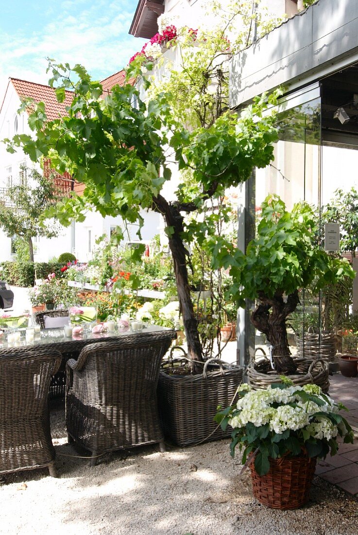 Sommerlicher Terrassenplatz mit Korbmöbeln