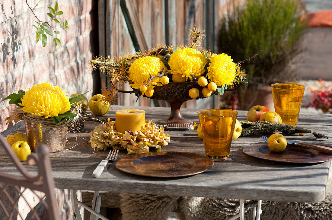 Autumn table decoration in sun yellow, Chrysanthemum grandiflorum