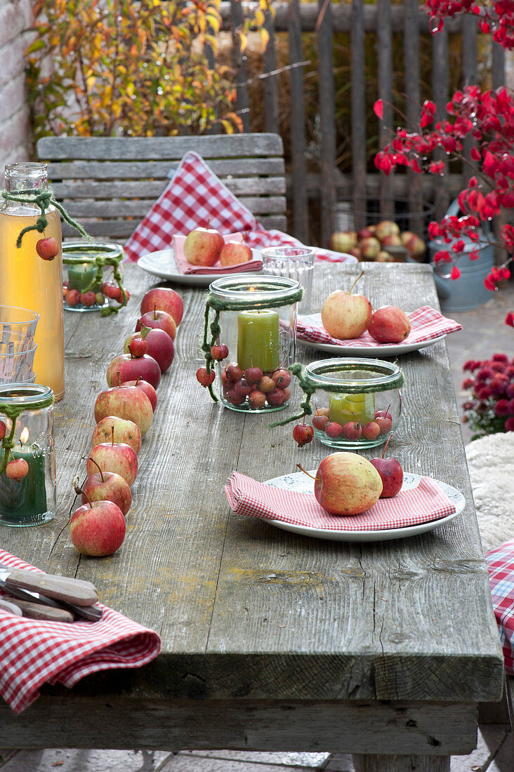 Ländliche Apfel-Tischdeko mit Malus ( Äpfeln ) in Reihe