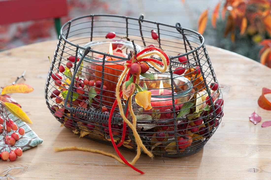 Wire basket with Malus (ornamental apple) and Rosa (rosehip)
