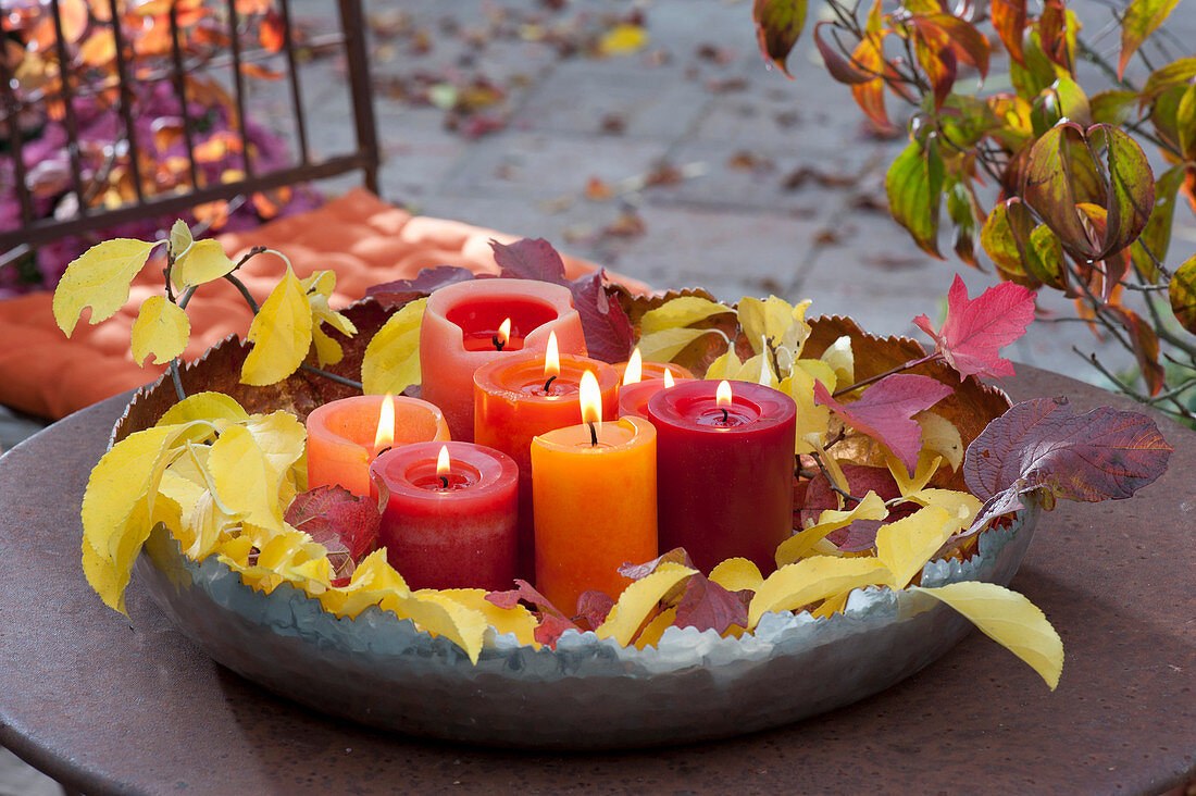 Autumn light magic in a wide metal bowl