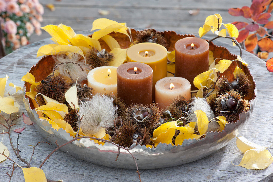 Broad bowl with candles, fruit stalks of Castanea sativa
