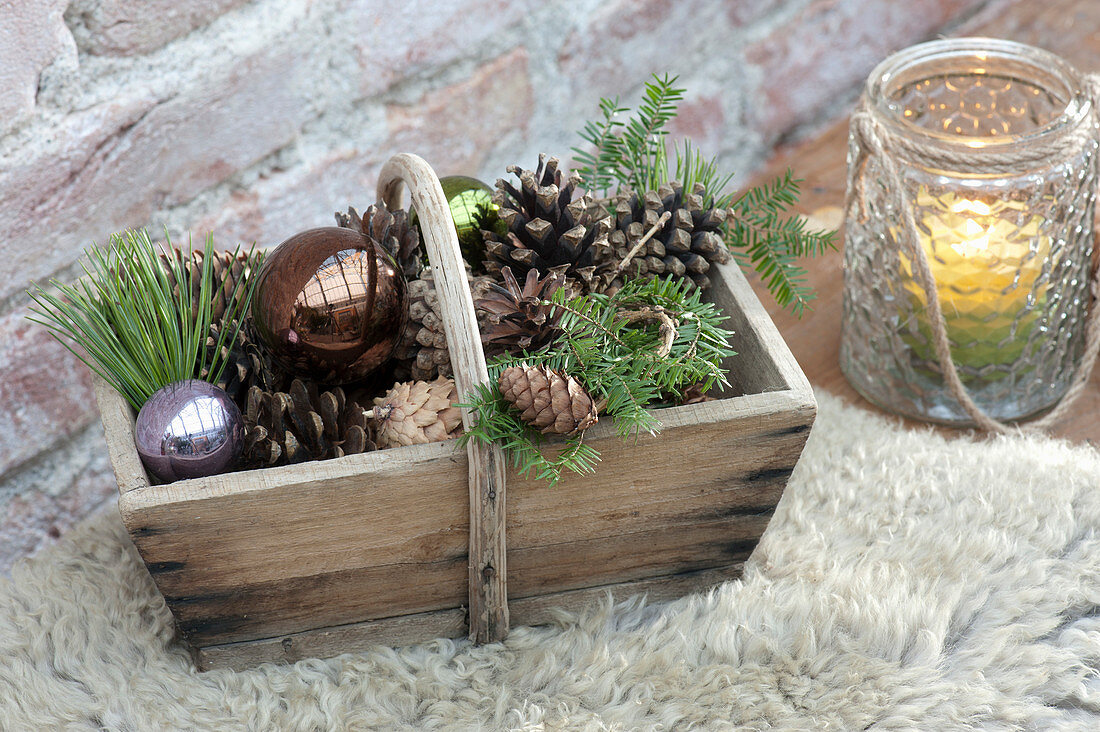 Small wooden basket with branches of Tsuga (hemlock) and Pinus
