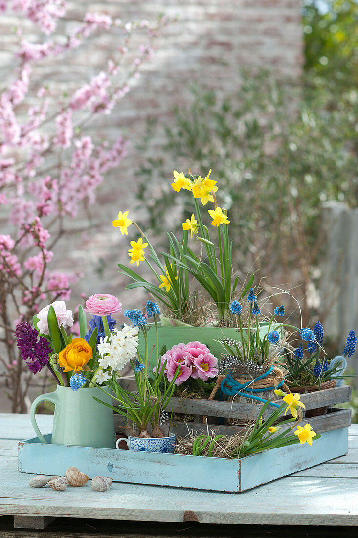 Colorful spring arrangement with height graduation,