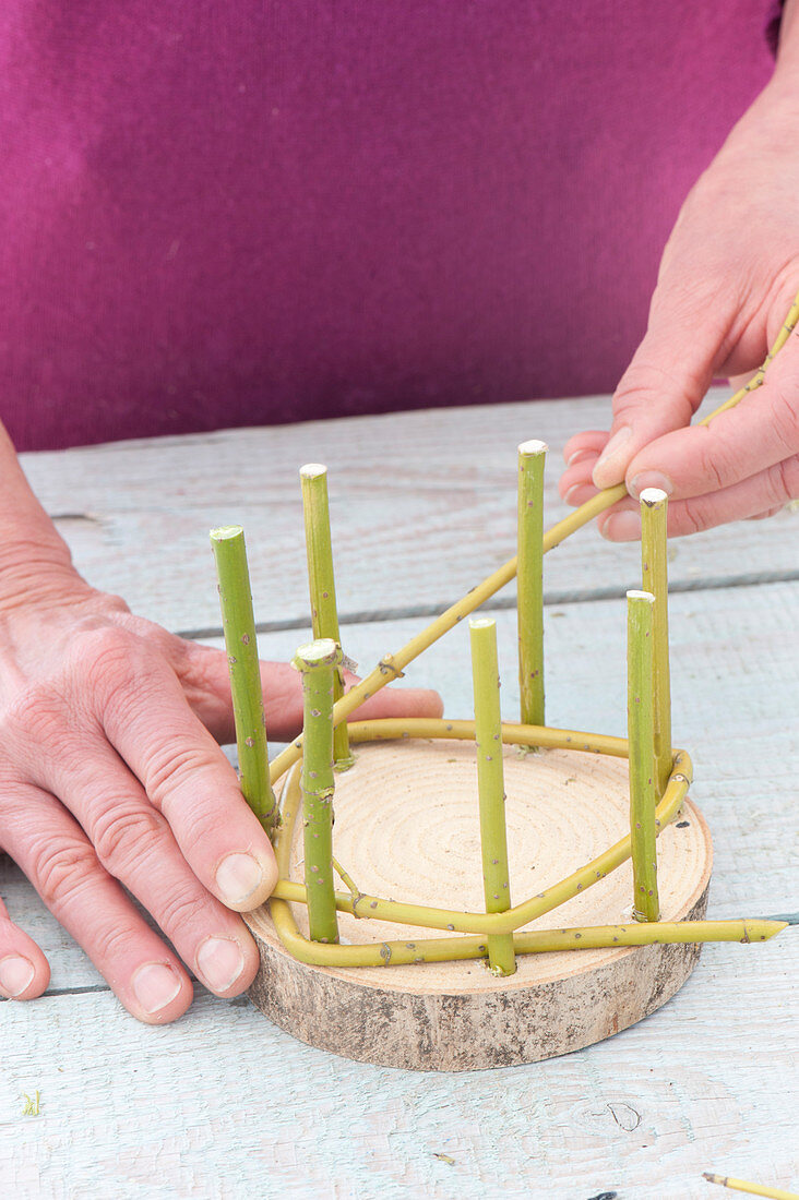 Selbstgemachte Übertöpfe aus Cornus - Zweigen :