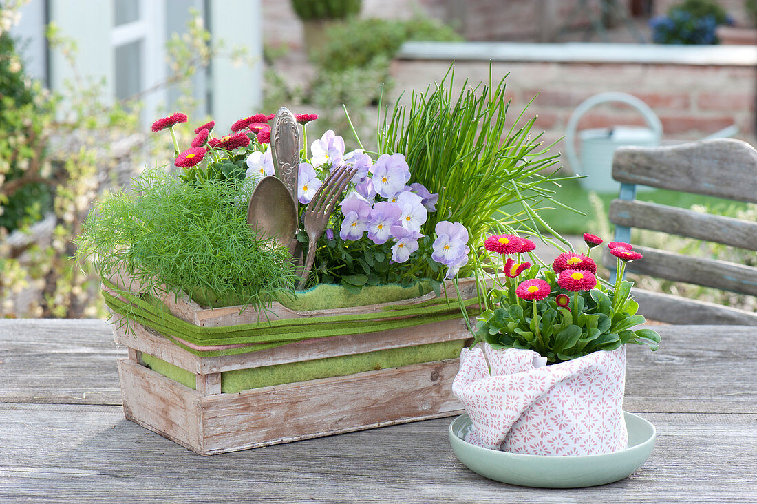 Geschenk - Korb mit Kräutern und essbaren Blüten :