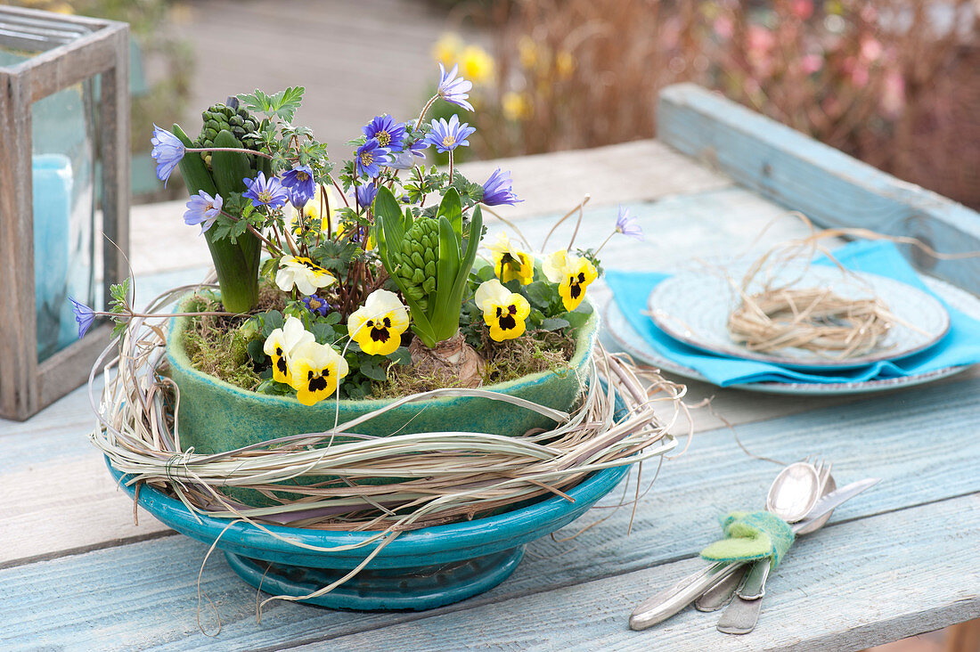 Spring bowl in felt coat, Viola cornuta, Hyacinthus