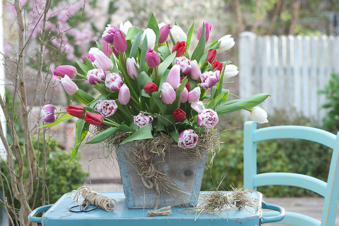 Üppiger Strauß aus Tulipa ( Tulpen ), dekoriert mit Heu in Holz-Kübel