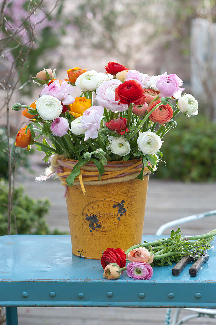 Lush bouquet with ranunculus (ranunculus) in a yellow bucket