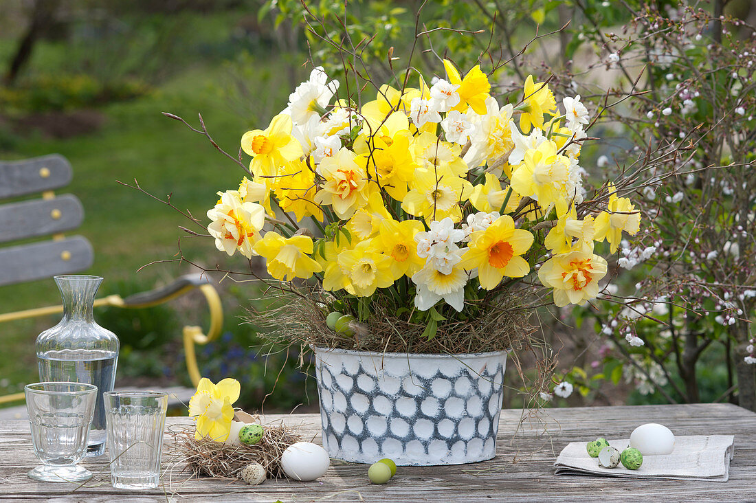 Narcissus bouquet decorated with twigs and bark