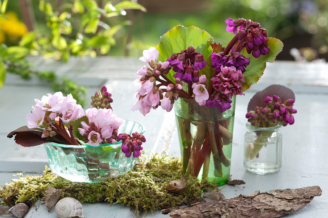 Small table decoration of flowers and bergenia (bergenie) leaves