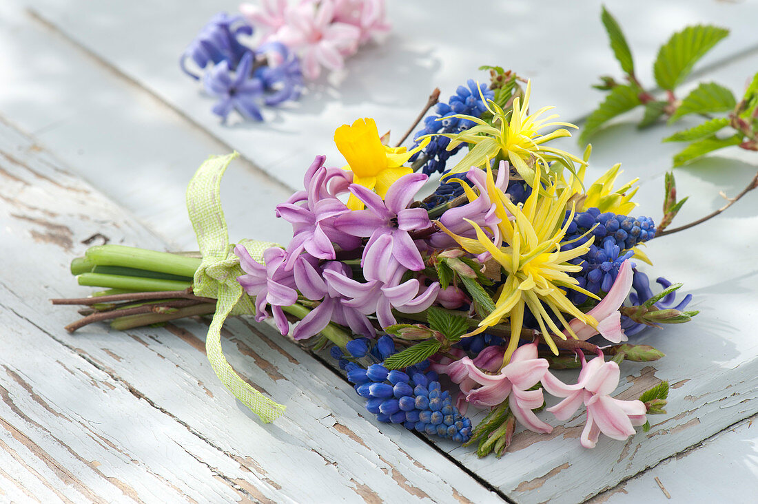 Small bouquet of muscari (grape hyacinth), narcissus