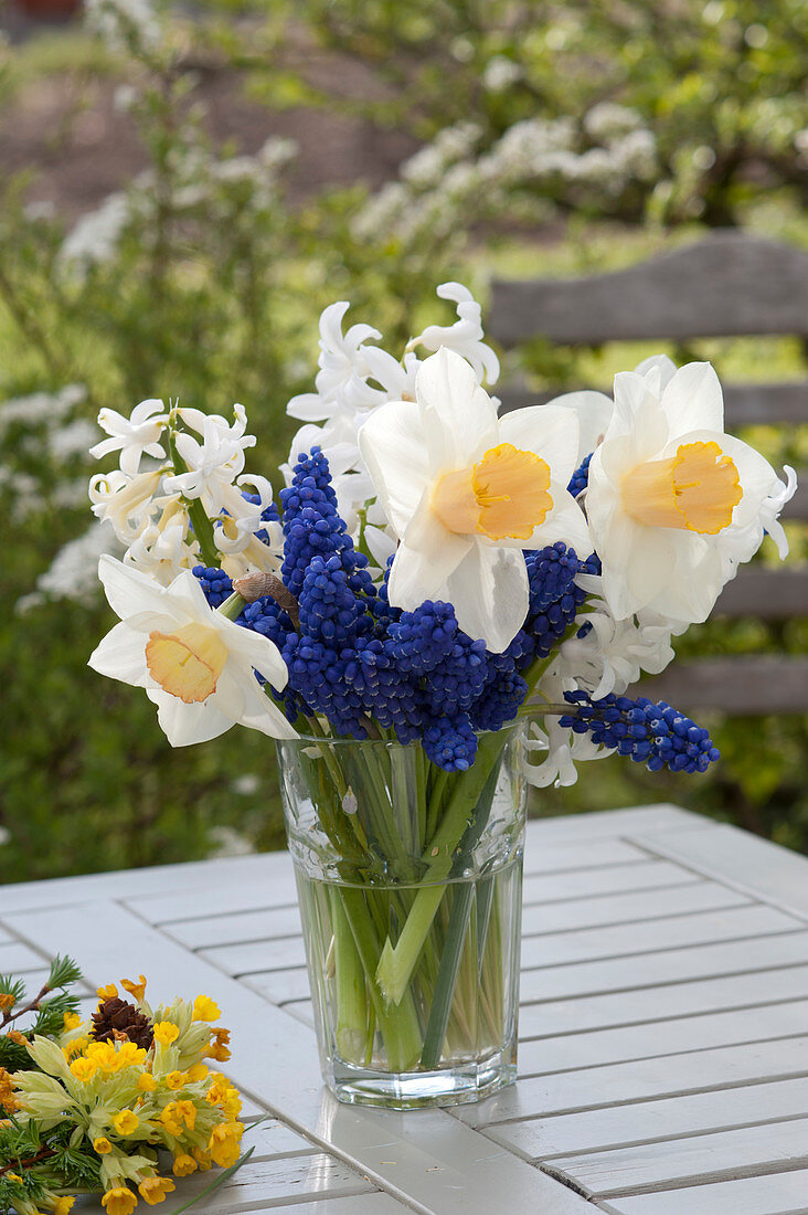 Small bouquet with Narcissus 'Salome' (Narcissus), Muscari