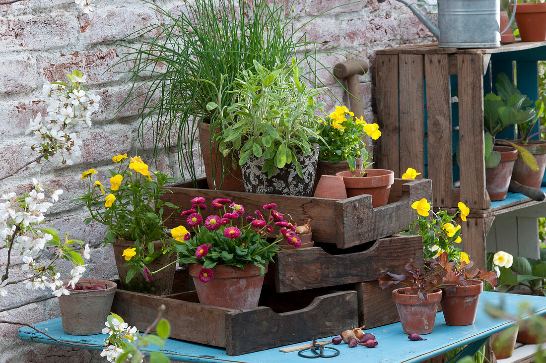 Pot arrangement with old drawers and wooden boxes