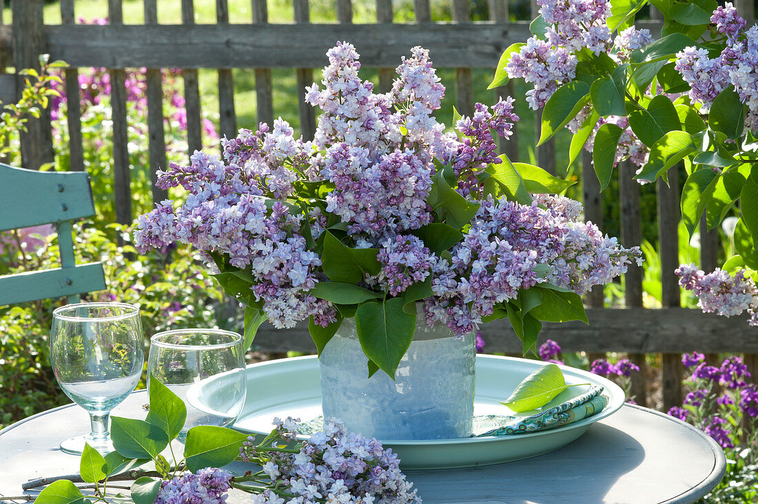 Syringa vulgaris (lilac) bouquet on tray
