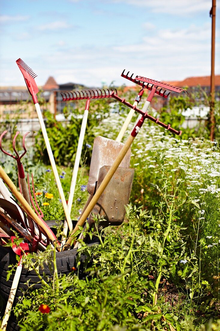 Gardening tools on roof garden of Stedsans Restaurant, Ostergro, Copenhagen, Denmark