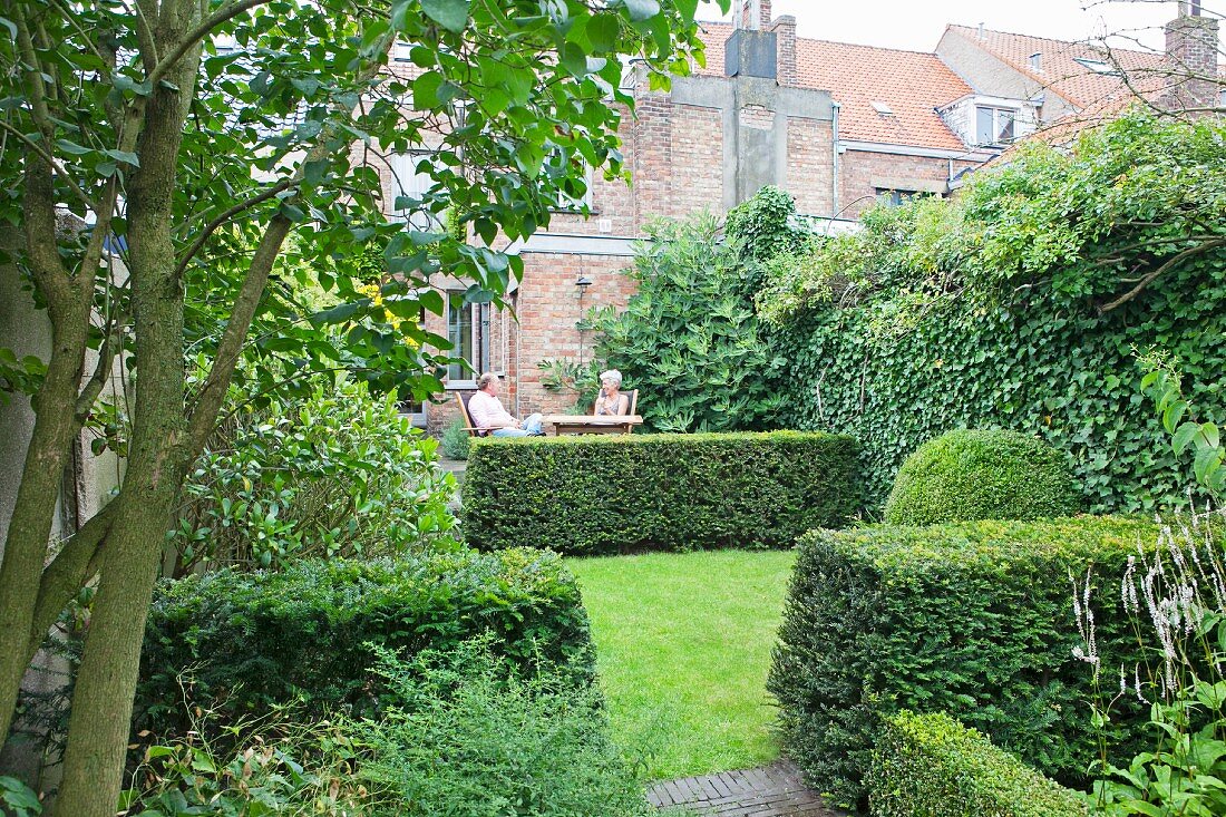 Hinterhofgarten mit akkuraten Eibenhecken und Rasen