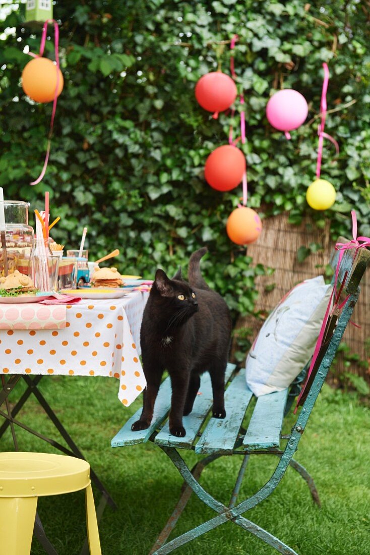Schwarze Katze auf Gartenstuhl neben gedecktem Tisch für eine Kinderparty