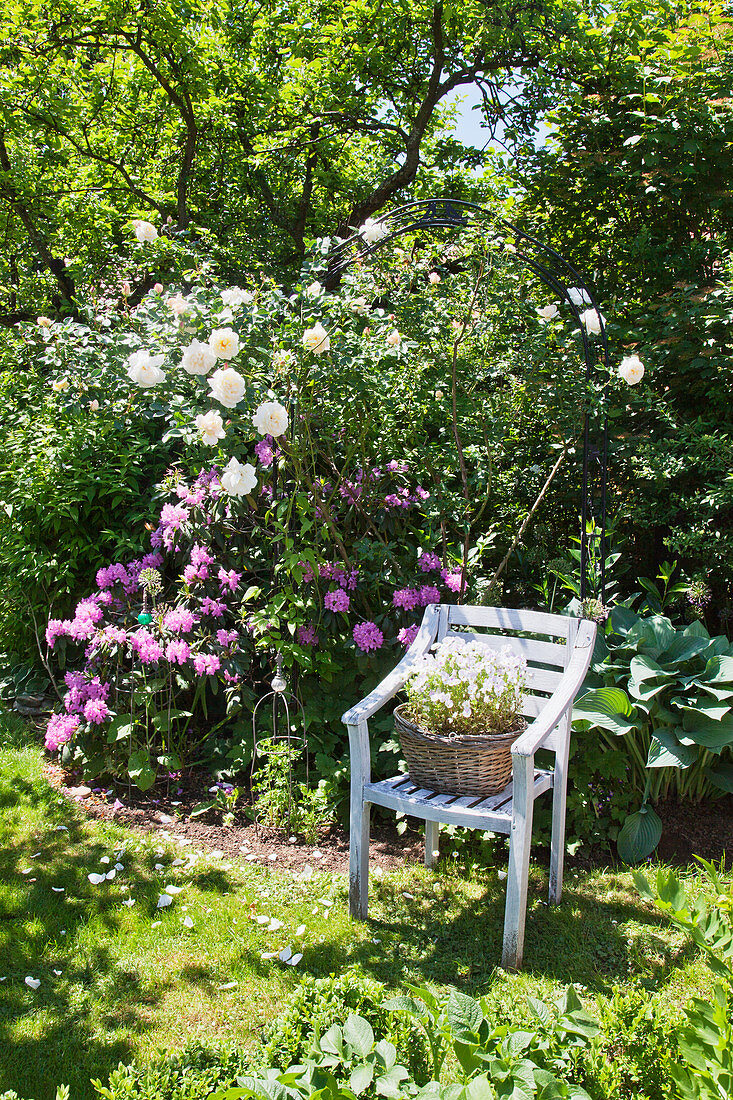 Mit Blumen bepflanter Korb auf einem Stuhl im Sommergarten