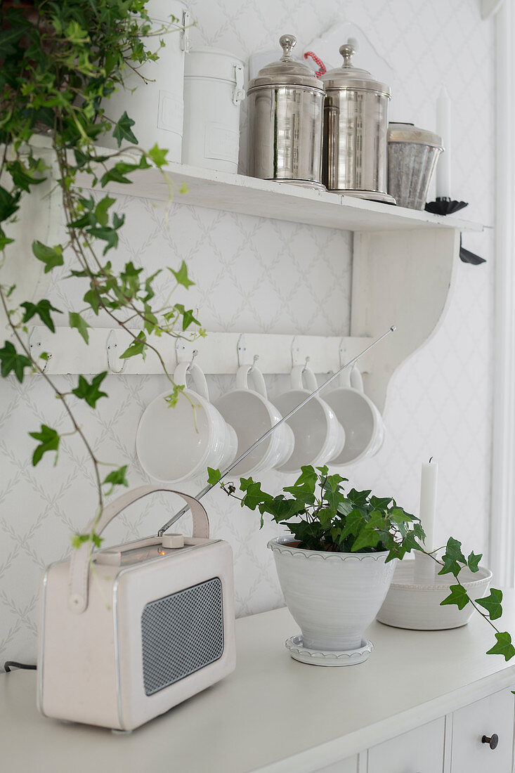 Retro radio and potted ivy on shelf and cabinet below cups hung from hooks