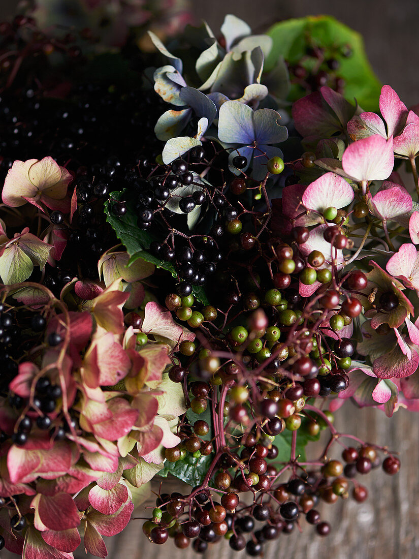 Elderberries and hydrangea flowers (close-up)