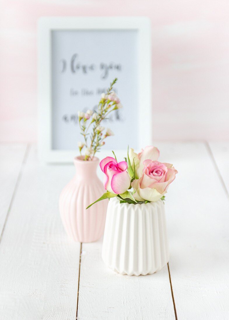 Roses in white vase
