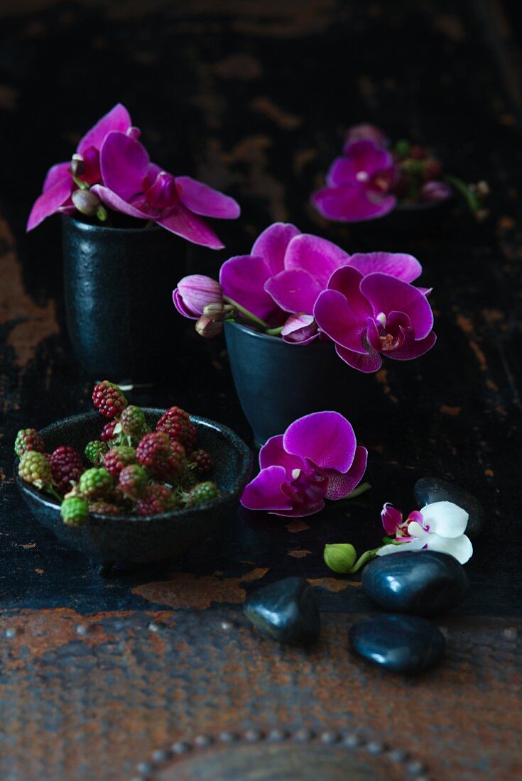 Pinke Orchideen und unreife Brombeeren in schwarzen Schalen