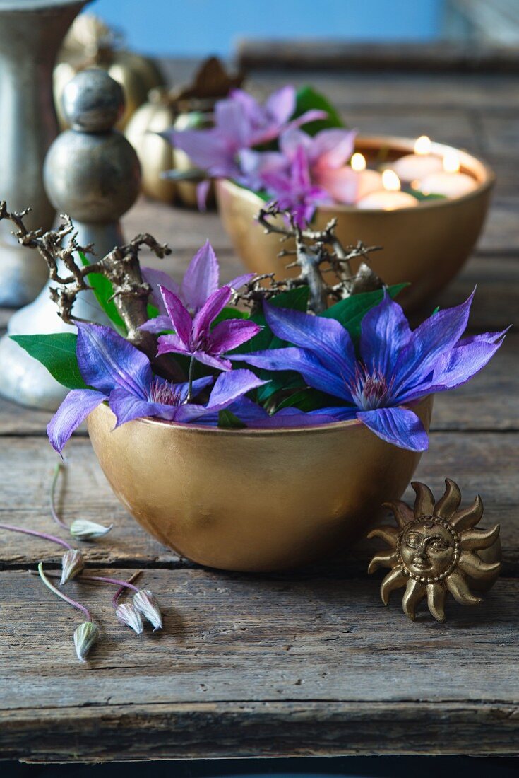 Blue and purple clematis flowers in golden bowl