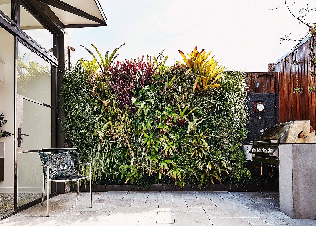 Vertikale Bepflanzung an einer Terrassenwand