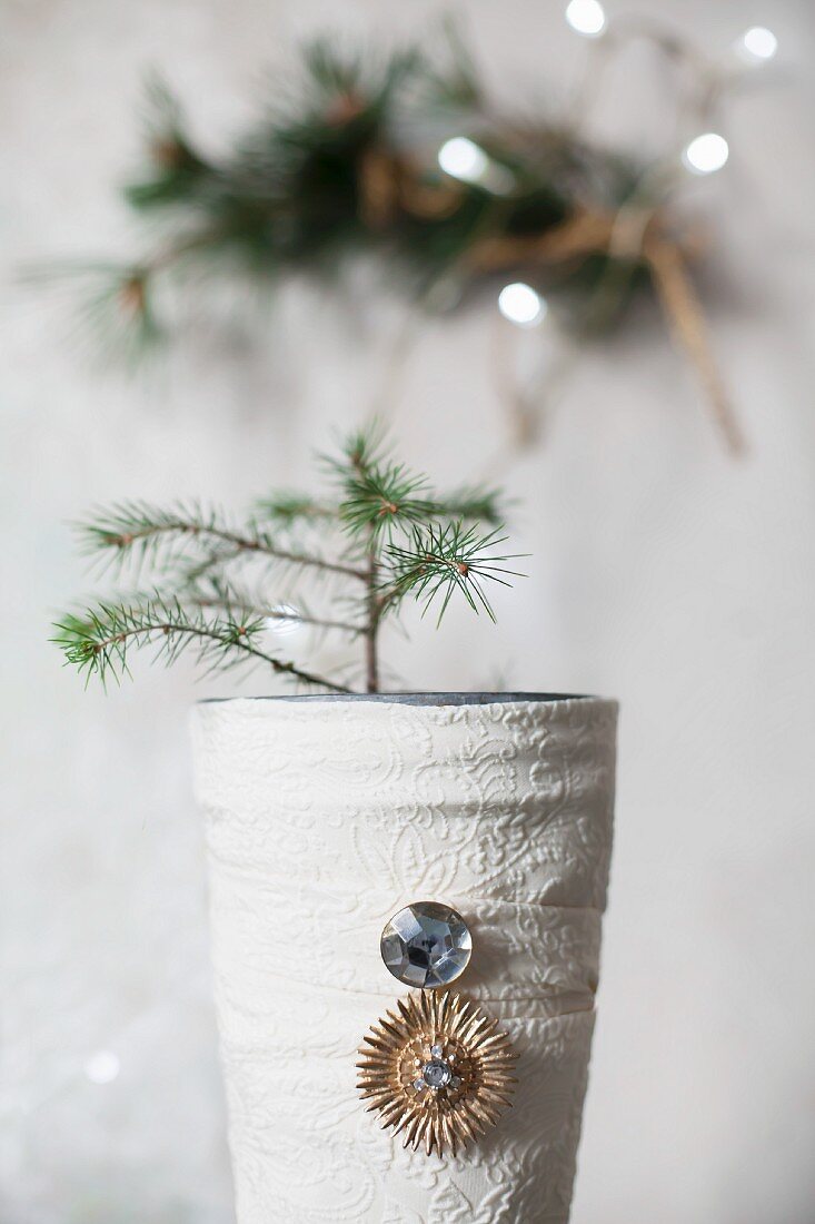 Tiny fir tree in vase wrapped in cloth