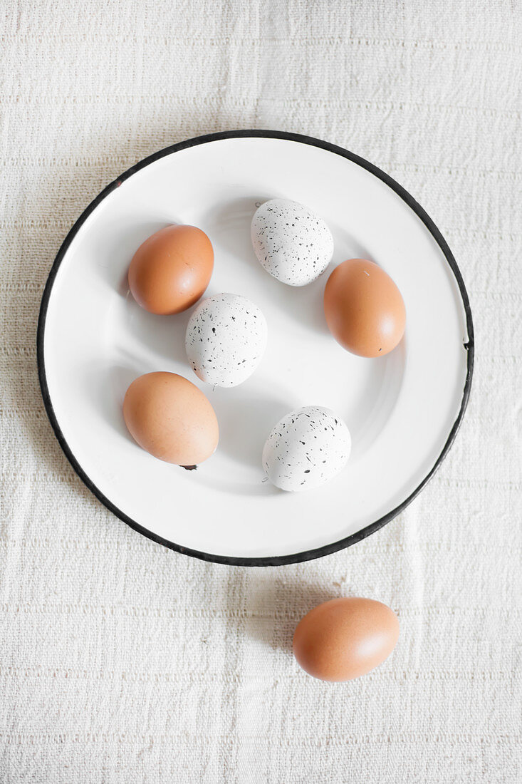 Braune und weiße, gesprenkelte Eier auf Emailleteller