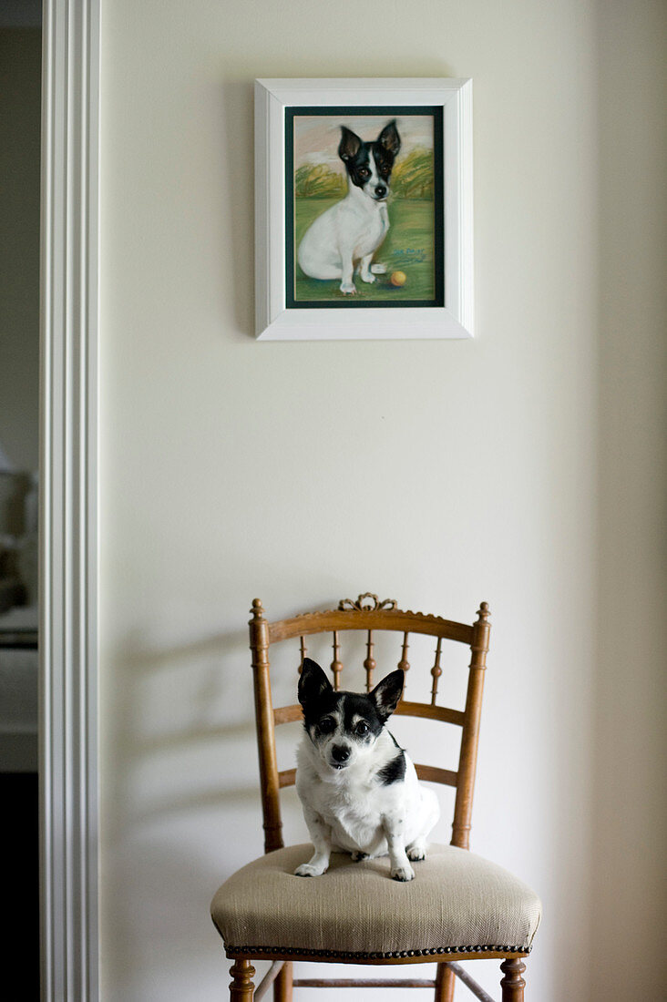 Dog sitting on chair with seat cushion below portrait of dog on wall