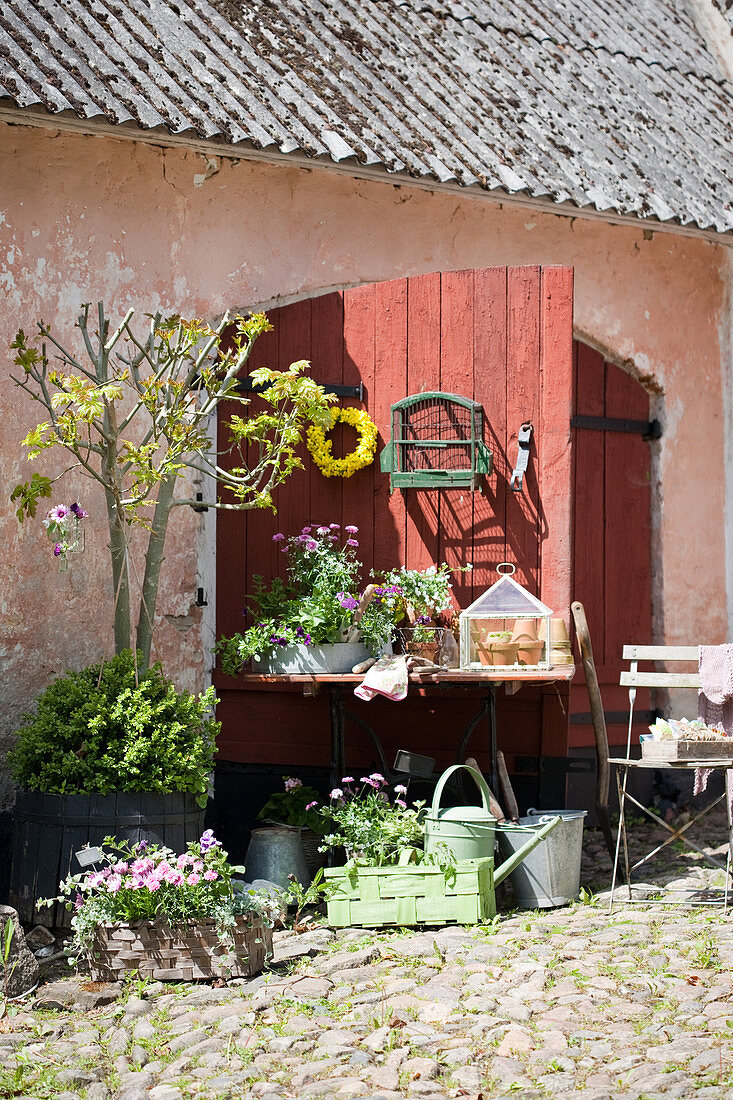 Flowers, plants and vintage accessories in courtyard outside red barn doors