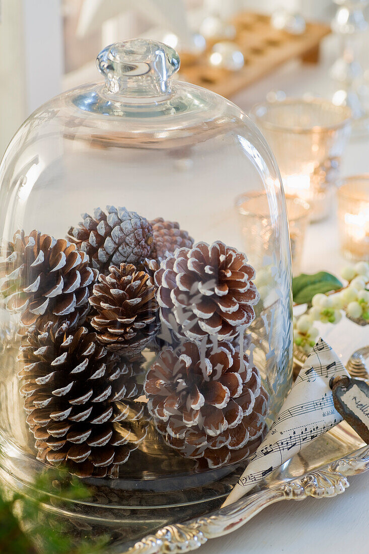 Pine cones under a glass cover as a table decoration