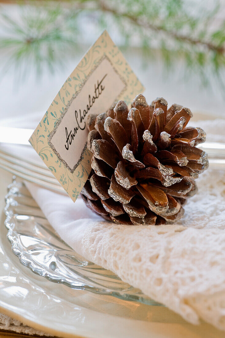 Christmas set with pines cones as a card holder